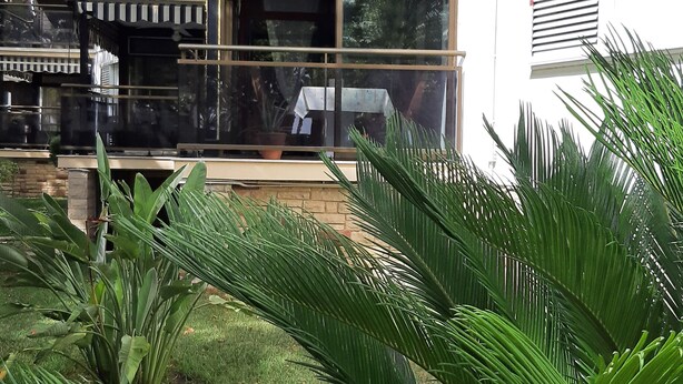 Un edificio moderno a due piani con un balcone, ampie finestre e un giardino curato con palme.
