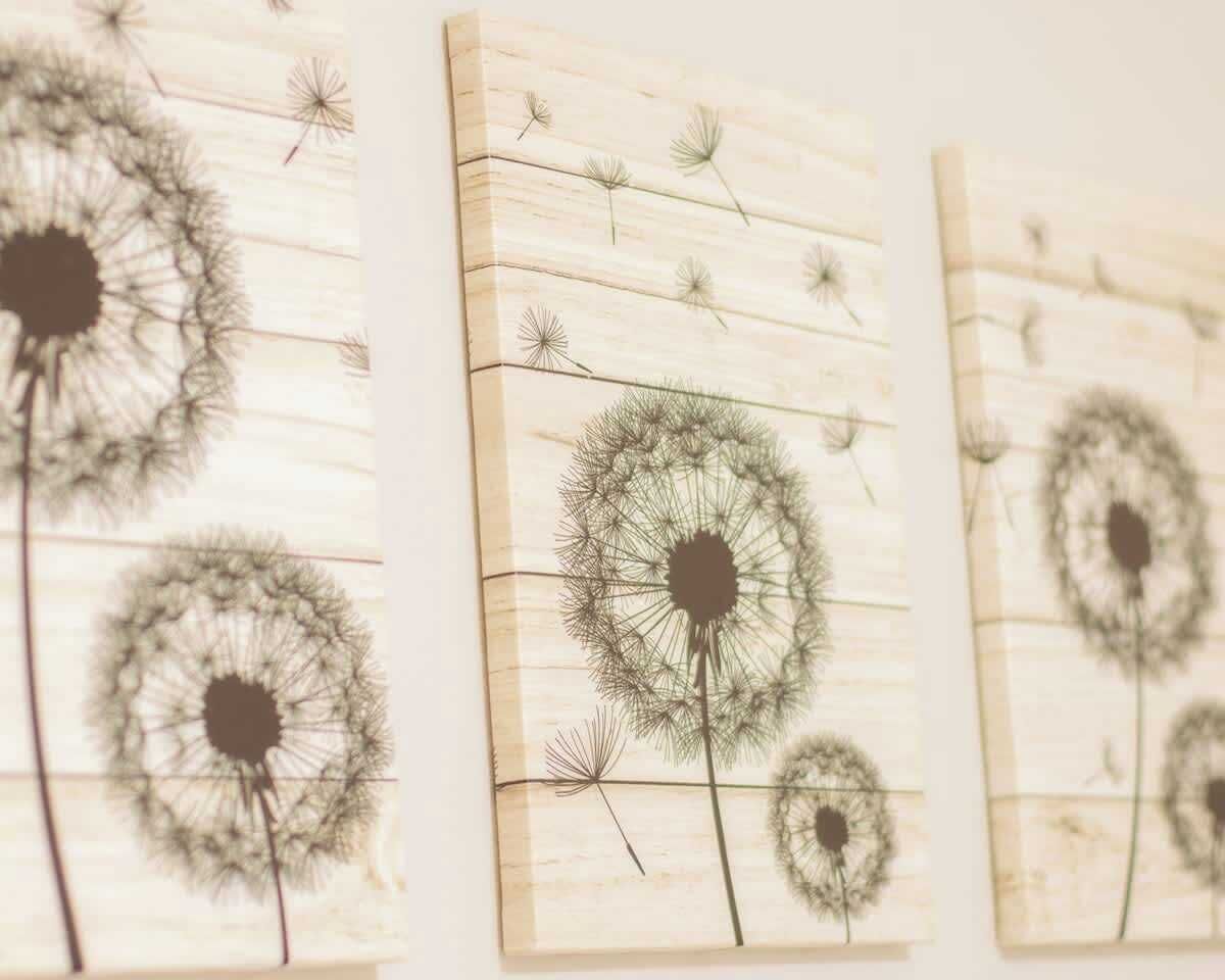Three wall-mounted artworks featuring dandelion illustrations.