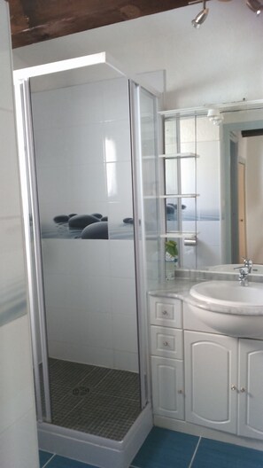 Shower, hair dryer, toilet paper