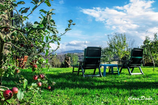 Property grounds - Casa Rural Dana (O Incio)