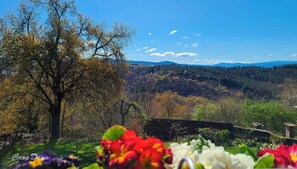 Property grounds - Casa Rural Dana (O Incio)