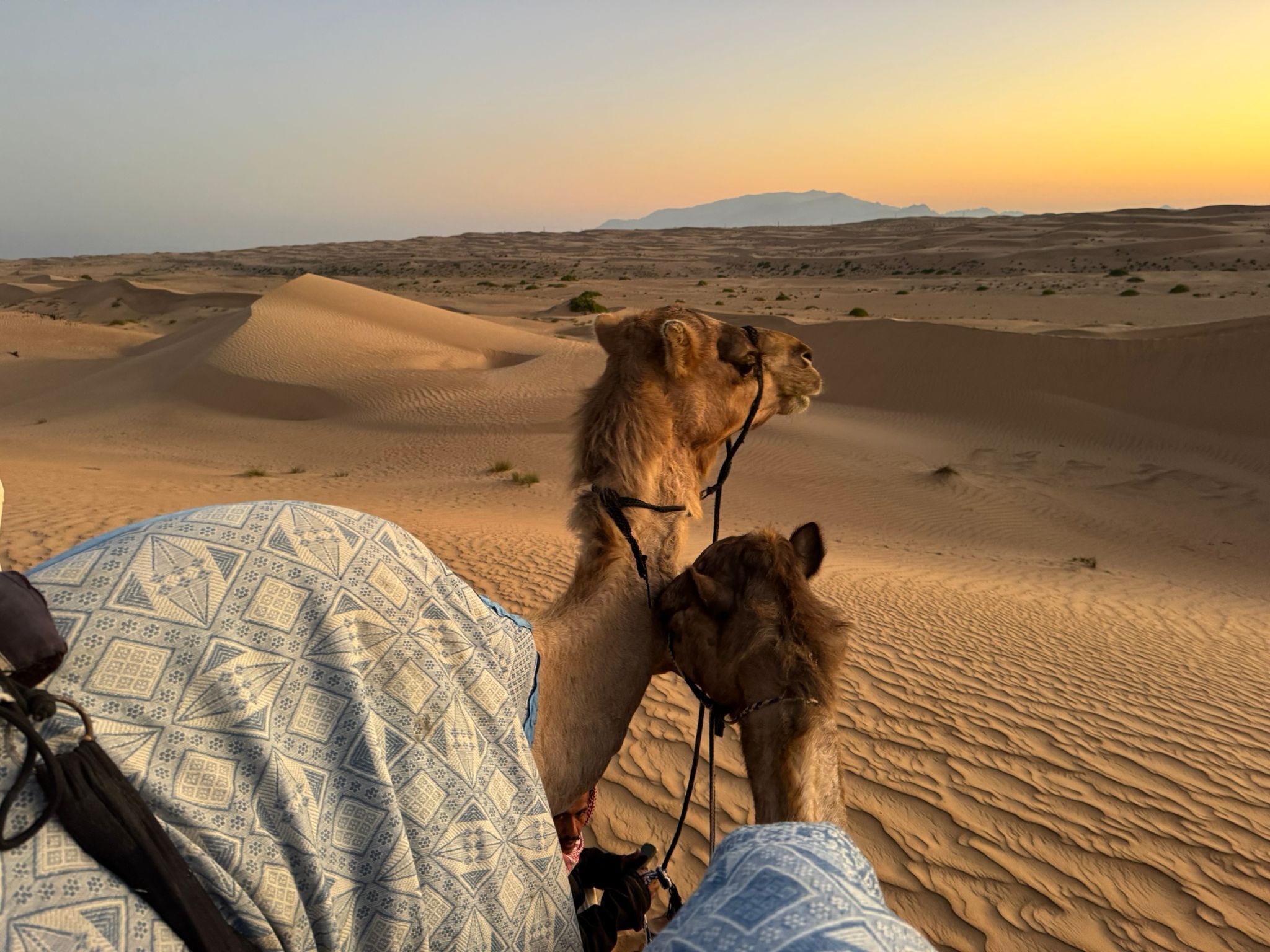 Room, 2 Bedrooms, Accessible, Smoking | Miscellaneous