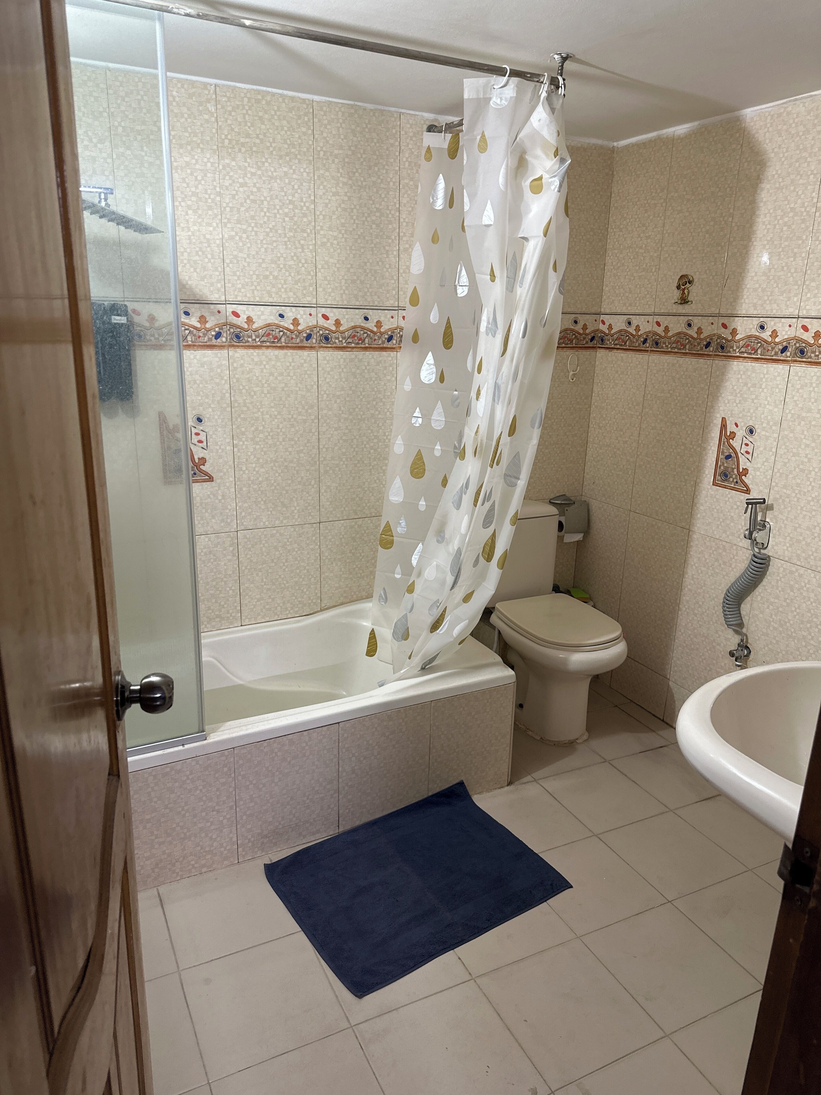 Ducha, bañera de hidromasaje, secador de pelo, toallas