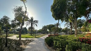 Un sendero pavimentado en un parque con árboles y arbustos.