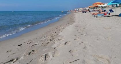 Sirene452 apartment dove abbinare il relax e visitare Roma