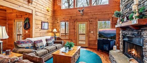 TV connectée, cheminée, lecteur de DVD