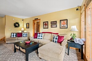 TV connectée, cheminée, lecteur de DVD