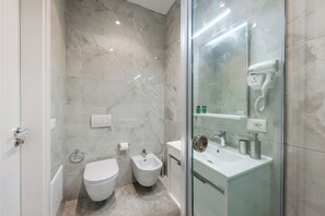 Shower, hair dryer, bidet, towels