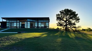 A modern house with large glass windows, a well-maintained lawn, and a prominent tree. - Panoramic by Carmelodays (Carmelo)