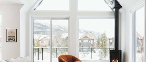 TV, fireplace, books, stereo