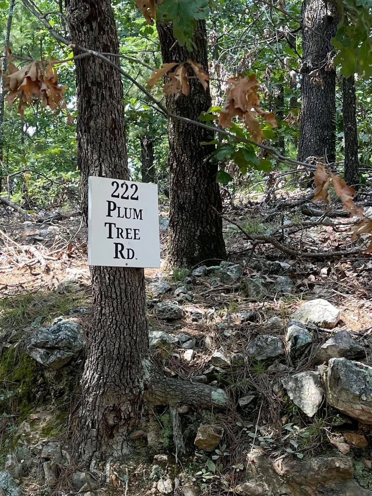 Et skilt på et træ i et skovområde, der angiver adressen Plum Tree Rd 222.