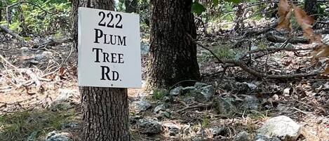 Et skilt på et træ i et skovområde, der angiver adressen Plum Tree Rd 222.