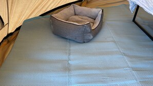 A tent with a sleeping area inside. - Cozy Hot Tent With Log Burner & Hot Tub Right Tent (Gaerwen)