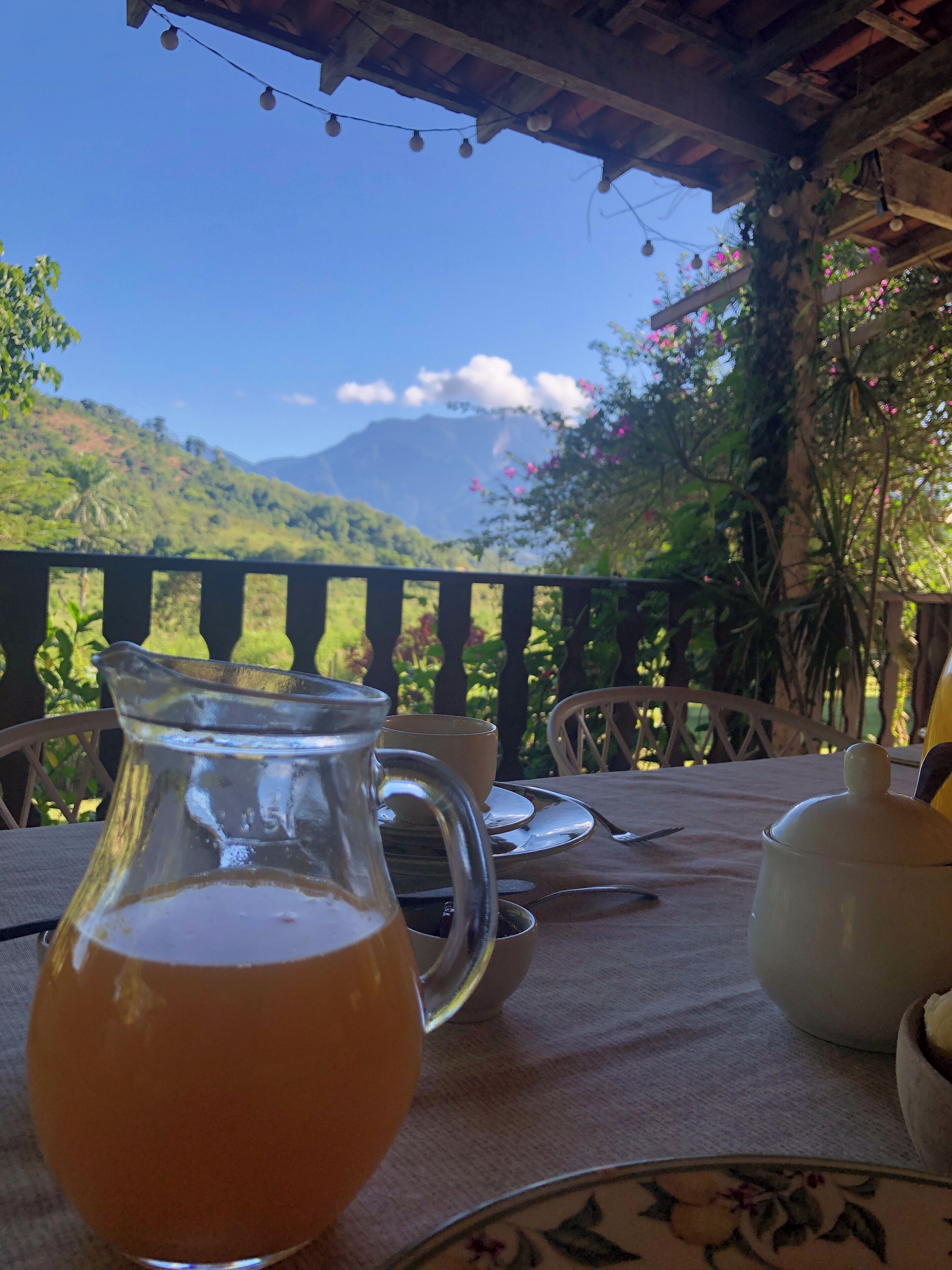 A table with a pitcher of orange liquid, a teapot, and a cup, set against a backdrop of a mountainous landscape and a clear sky.