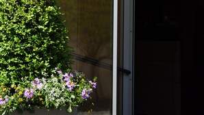 Entrada de un hotel con el nombre "EINGANG" y el logotipo de "HAI" en la puerta de vidrio.