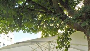 Un patio al aire libre con mesas y sillas de madera, cubierto por un gran paraguas, rodeado de follaje y un edificio al fondo.