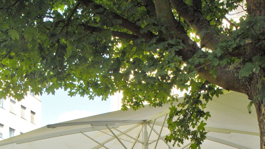 Hansa Apart-Hotel Regensburg