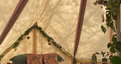 Jungle Bell Tent
