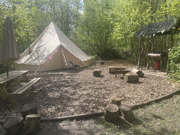 Property grounds