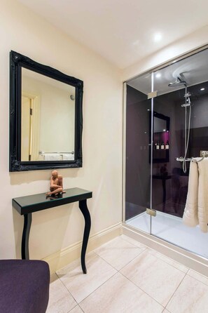 Shower, hair dryer, towels