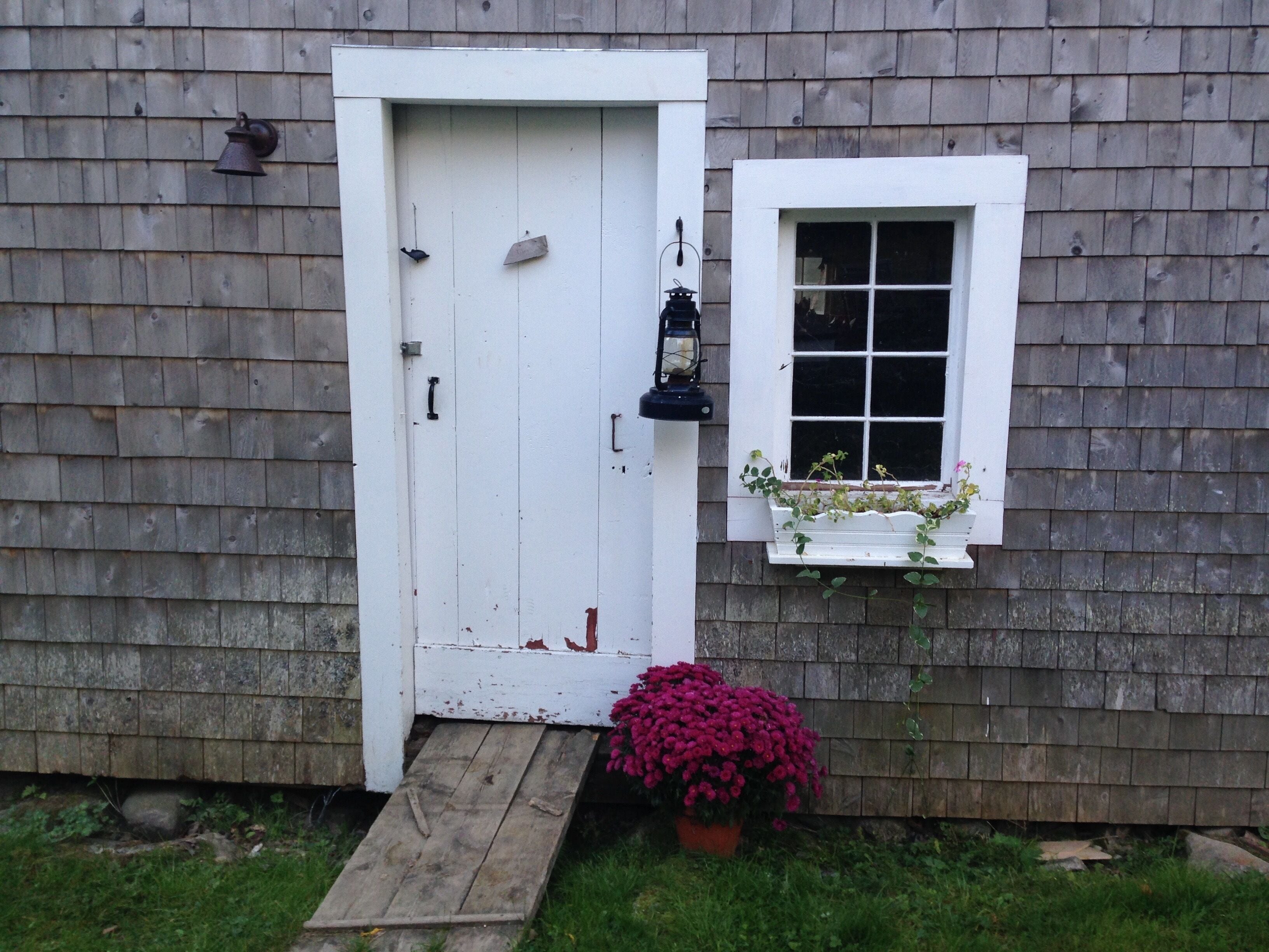 A white door with a small window above it, a wooden step leading to the door, and a potted plant with pink flowers beside the step.