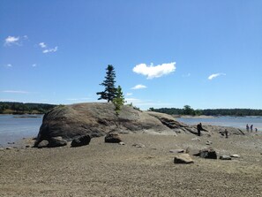 A rocky beach with a lone tree, clear skies, and calm water. - Charming, Barn studio, 2 beds, Wifi, AC Acadia, Dark Skies Enjoy tranquility (Surry)