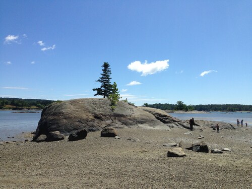 Charming, Barn studio, 2 beds, Wifi, AC Acadia, Dark Skies Enjoy tranquility