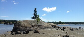 Charming, Barn studio, 2 beds, Wifi, AC Acadia, Dark Skies Enjoy tranquility