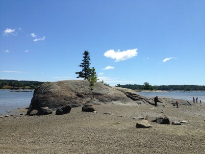 Charming, Barn studio, 2 beds, Wifi, AC Acadia, Dark Skies Enjoy tranquility