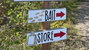 Directional signs for cabins, campground, bait, and store. - Great Escape Cabins: Cabin 5 (Alban)