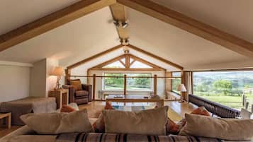 TV, fireplace, books