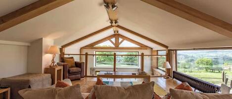 TV, fireplace, books