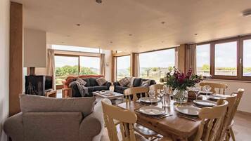 TV, fireplace, books