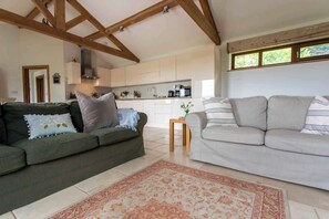 تلفزيون، مدفأة