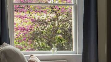 2 slaapkamers, een strijkplank/strijkijzer, reisbedje, wifi