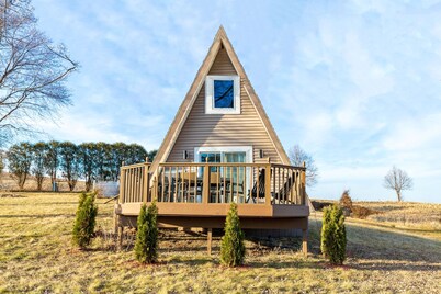 🏠 Charming A-Frame  w/ Mid-Century Vibe 1 Bed/1 Bath near Elizabeth, Illinois🌲