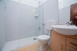 Shower, hair dryer