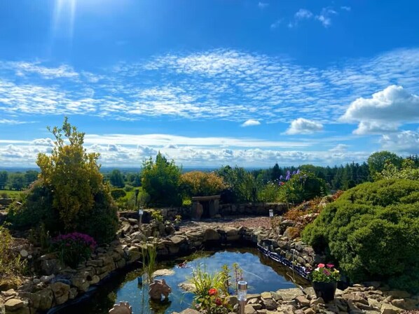 Un jardin avec un étang, entouré de rochers et de différentes plantes.