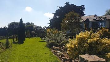 A grassy area with a stone wall, trees, and a building with a sloped roof.