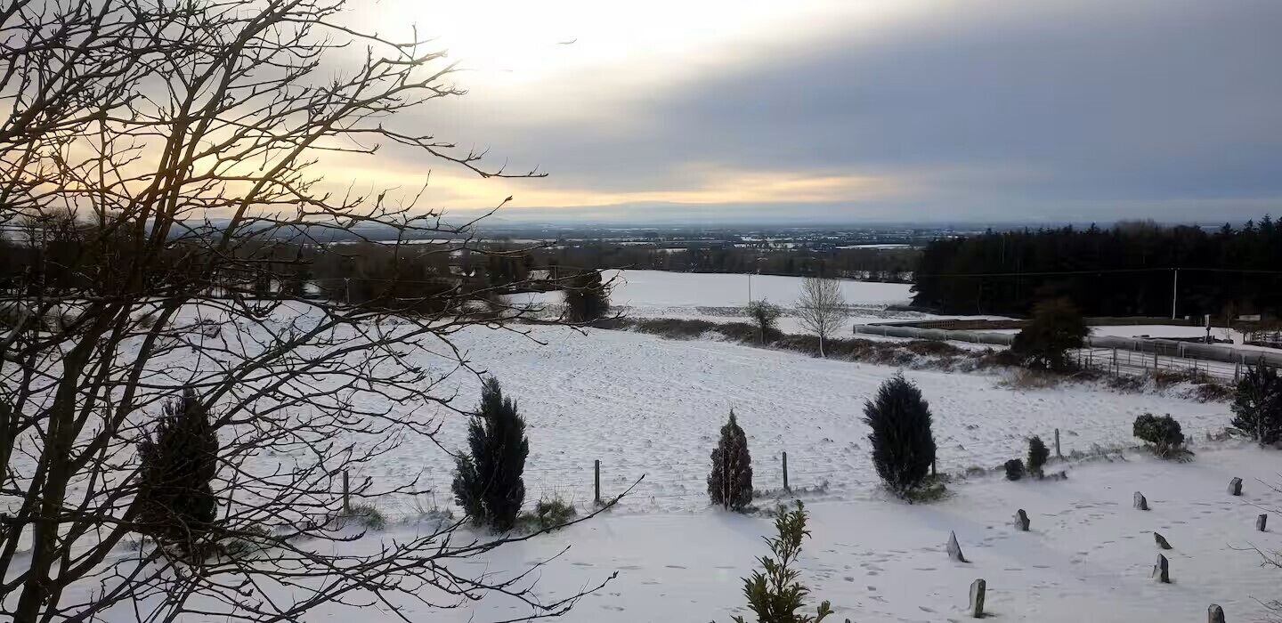A snowy landscape with bare trees and a distant view of a town.