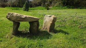 Un banco de piedra en un campo cubierto de hierba, con árboles al fondo.