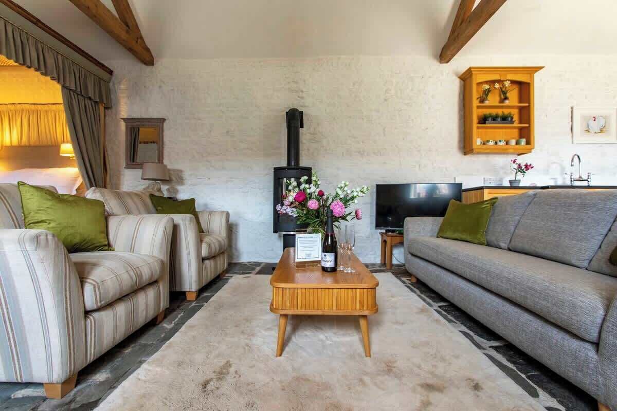 TV, fireplace