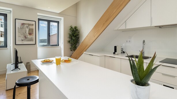 Una cocina moderna con armarios blancos, una isla grande y una planta en maceta.