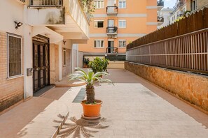 A courtyard with a palm tree, a gated entrance, and a wooden fence.
