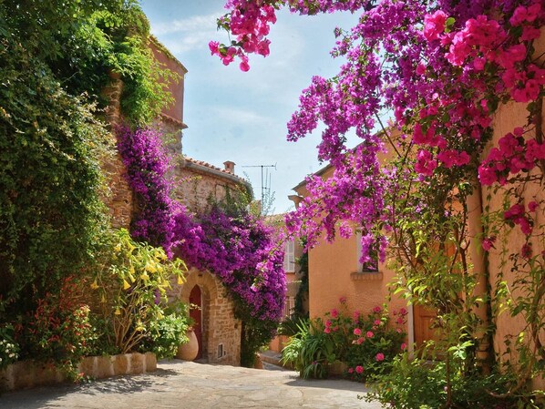 Property grounds - Semi-detached house with air conditioning and parking, 4 pers., Bormes-les-Mimosas (Bormes-les-Mimosas)