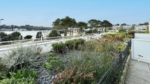 Un paseo marítimo con sendero peatonal, vegetación y vista al mar y edificios a lo lejos.