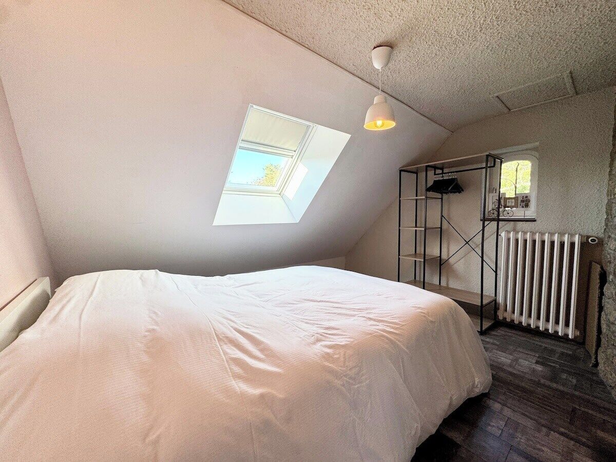 A bedroom with a skylight, a bed, a radiator, and a metal ladder.