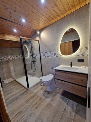 Shower, bidet, toilet paper - Guy and Rose's cottage (Passy)