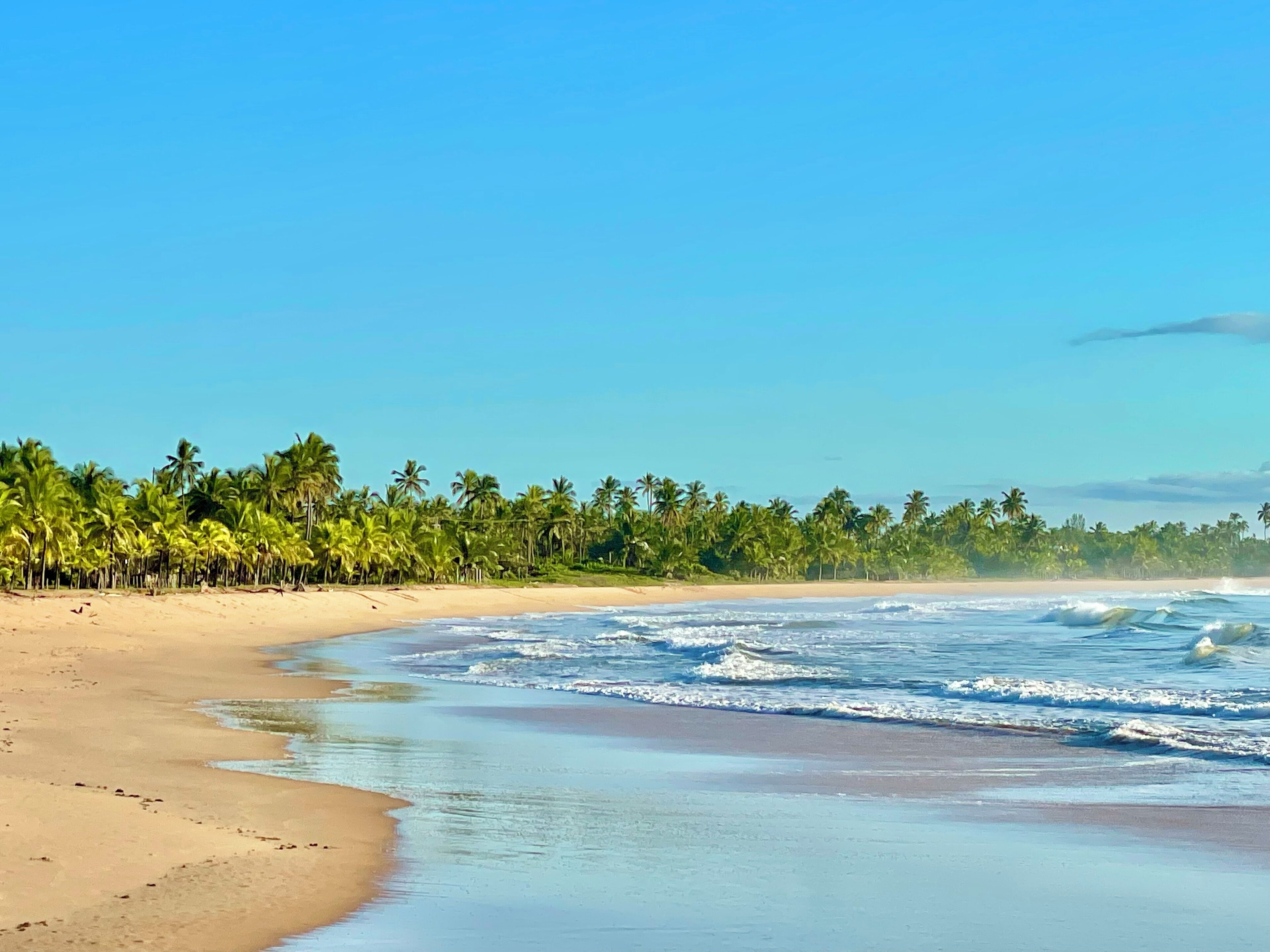 Sun loungers, beach towels