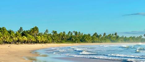 Sun loungers, beach towels